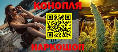 сатива Обь