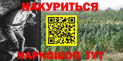 сатива Обь