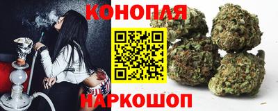 сатива Обь