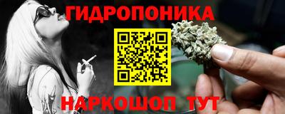 сатива Обь
