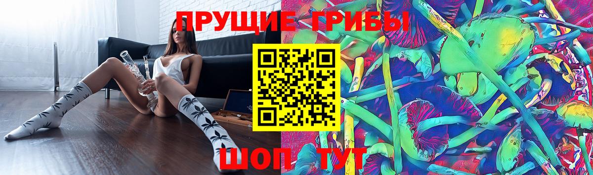 Старая Купавна  Псилоцибиновые грибы прущие грибы  Вход с VPN 